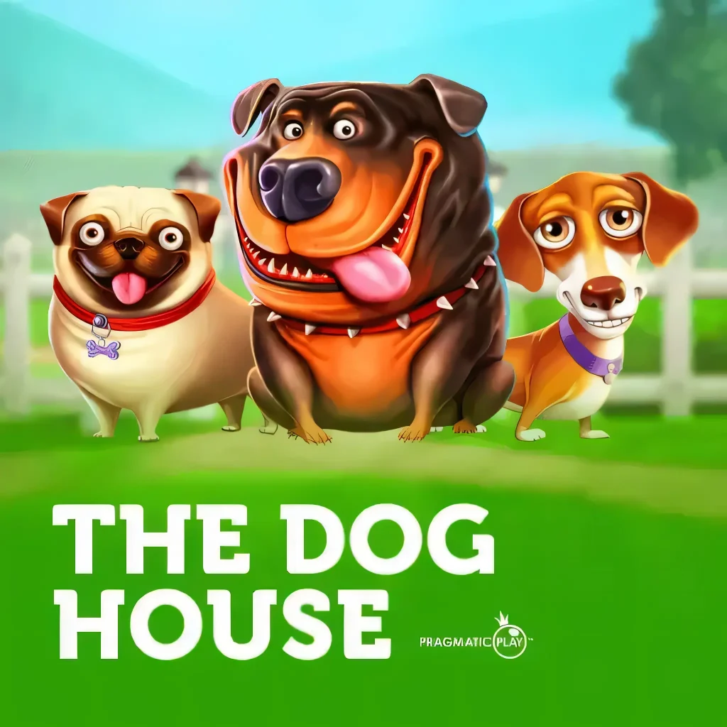 betão bet-doghouse